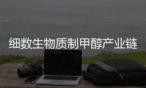 细数生物质制甲醇产业链：有哪些关键企业？
