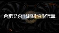 合肥又杀出超级隐形冠军：年入42亿，全国第十
