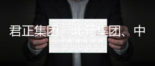 君正集团、北元集团、中泰化学，谁是成长能力最强的氯碱企业？